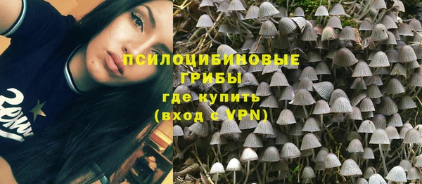эйфоретик Беломорск
