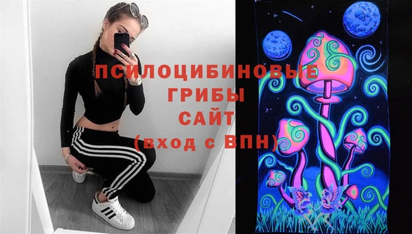эйфоретик Беломорск