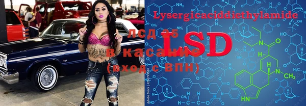 эйфоретик Беломорск