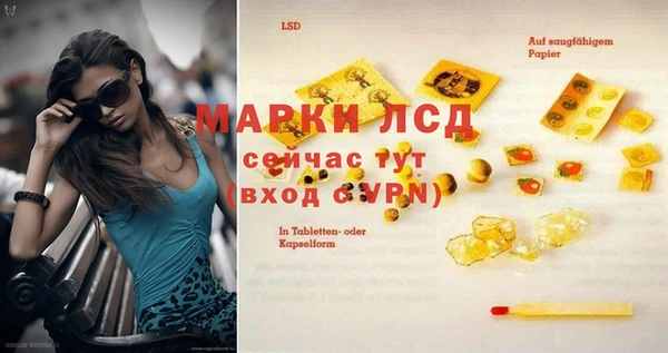 apvp Белокуриха