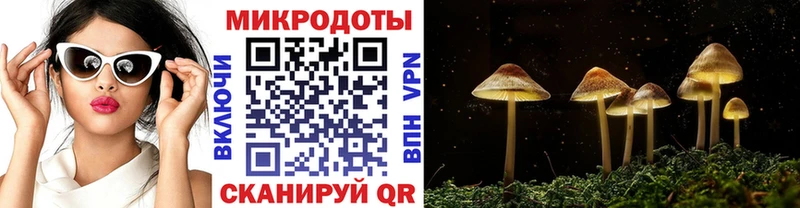Галлюциногенные грибы ЛСД  где купить наркоту  Братск 